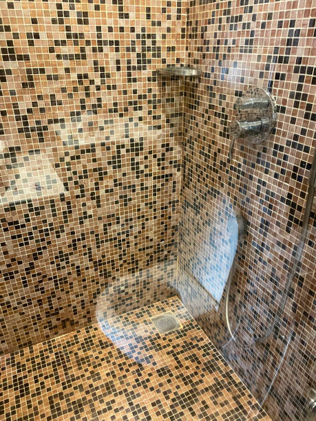 image en gros plan d’une cabine de douche en verre avec reflet d’une toilette en céramique blanche avec fixation de la tête de bidet de douche à main sur le mur, sol et murs carrelés en mosaïque brune, focus sur le premier plan - nobody brown matrial shoe cupboard photos et images de collection