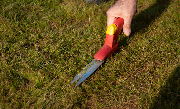istock Man mowing the lawn  on the garden 1455171038