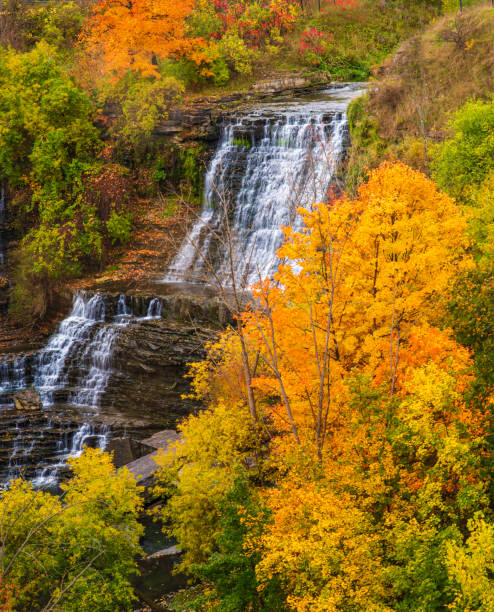 istock Albion Falls in Autumn 1455184072