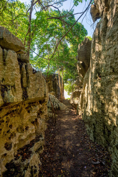 istock Petit Tsingy de Bemaraha, Madagascar wilderness landscape 1455188704