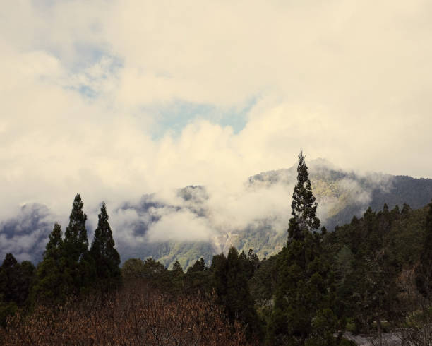 istock View of the Alishan range covered with clouds. Taiwan. 1455189382