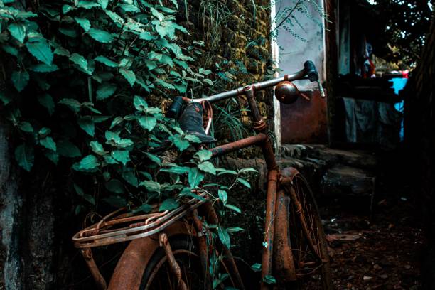 istock Old metallic bicycle in the garden 1455189552