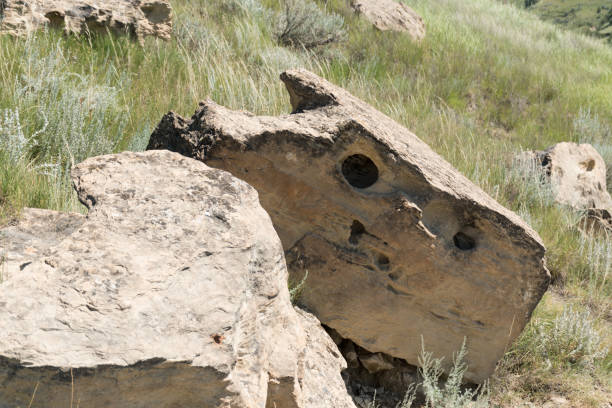 istock Textured stone in a dry field on a sunny day 1455190958