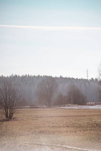 istock Vertical shot of floating mist above a rural field 1455194807