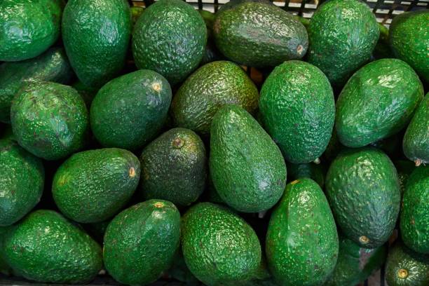 istock Avocados placed on a shelf for sale within 1455196660