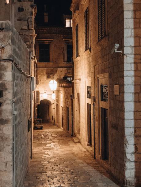 istock Vertical shot of an alley at night 1455197079