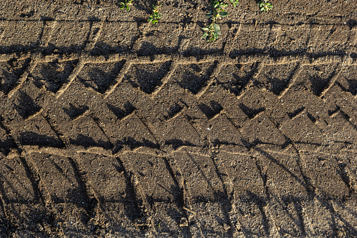 Deep tractor tire trail on a green grass in a field, Agriculture industry or work in a park concept.
