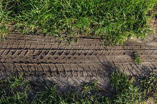 Deep tractor tire trail on a green grass in a field, Agriculture industry or work in a park concept.