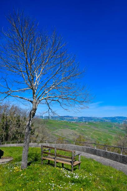 istock Vertical shot of a bench under a tree against a blue sky 1455197899
