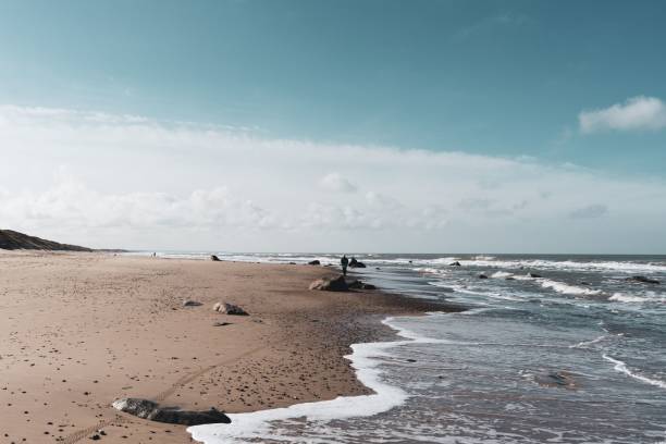 istock Beautiful shot of a beach on sunny day 1455198327