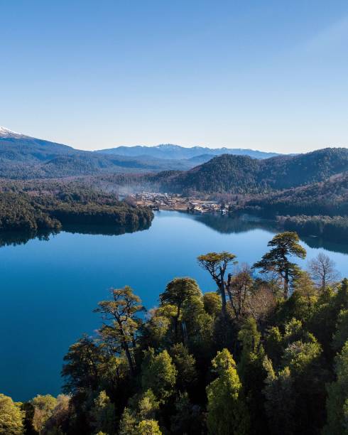 istock Beautiful view of a calm lake surrounded by trees 1455198733
