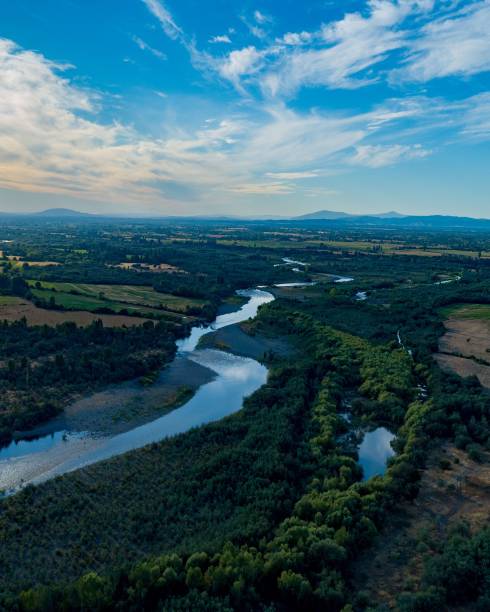 istock Vertical shot of a river surrounded by green trees 1455198740