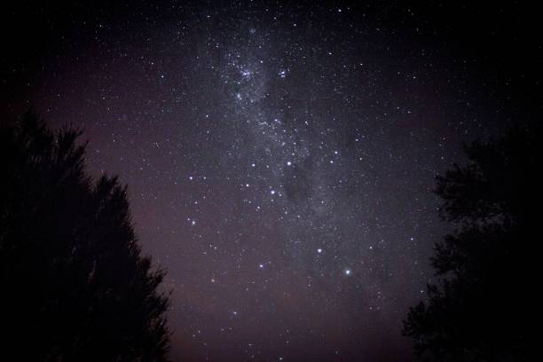 istock Silhouette of trees against a beautiful starry night sky 1455198782