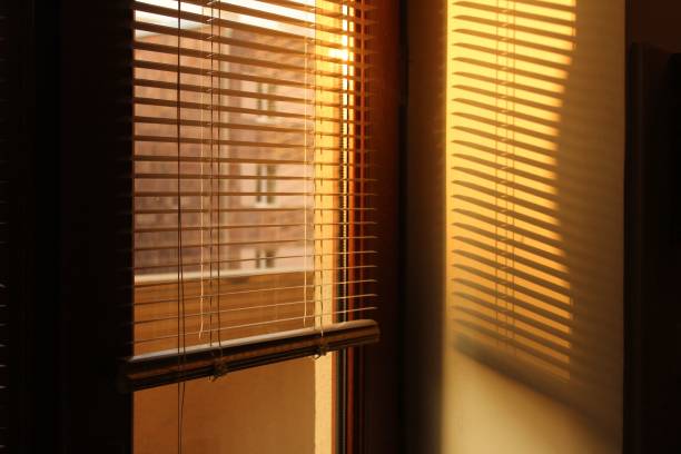 istock Early morning shining sun through window blinds 1455200701