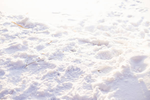 zdeptany biały śnieg w słoneczny dzień, ślady stóp w śniegu. tło tekstury zimy - cold stamping zdjęcia i obrazy z banku zdjęć