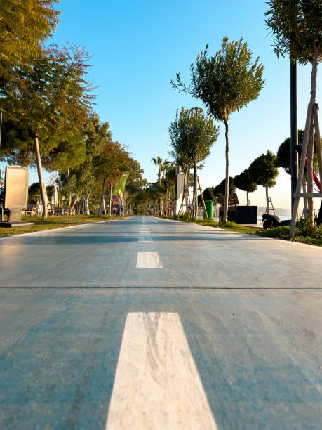 istock Bicycle path in the park by the sea on a sunny morning 1455203458