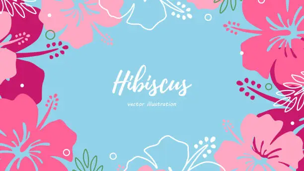 Vector illustration of hibiscus background material frame wallpaper