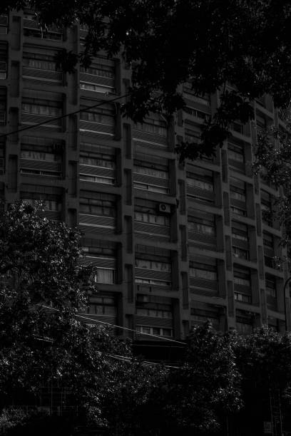 istock Vertical grayscale shot of the building facade 1455206763