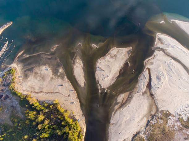 istock Aerial view of a seashore under the sunlight 1455208367