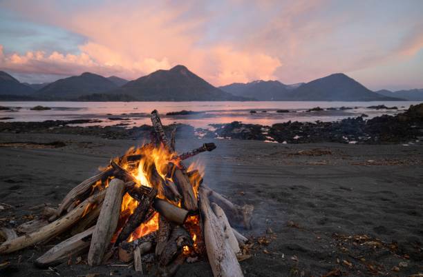 istock Campfire on calm lake shore during sunset 1455208376
