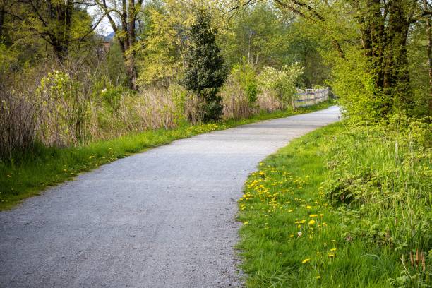 istock Beautiful view of a road surrounded by greenery 1455208422