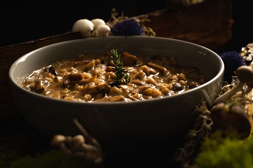 A closeup shot of a bowl of barley soup and wild mushrooms