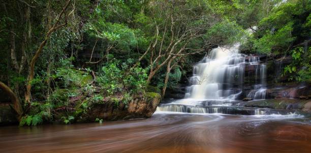 istock Mesmerizing view of Somersby falls with river and trees in a beautiful park 1455208466