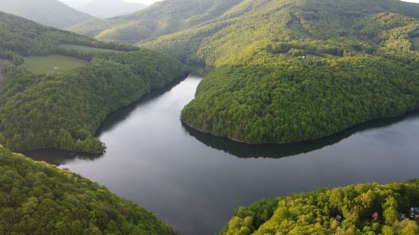 istock Aerial view of a river passing through mountains with green thick trees 1455208525