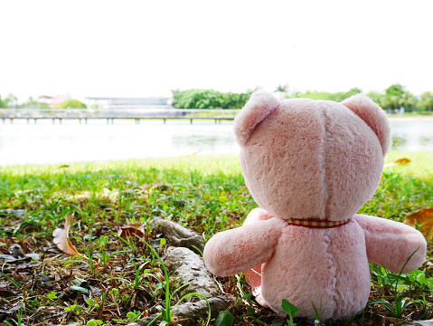 Teddy lonely on blur background