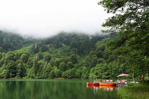 A beautiful lake landscape of Borçka Karagöl.