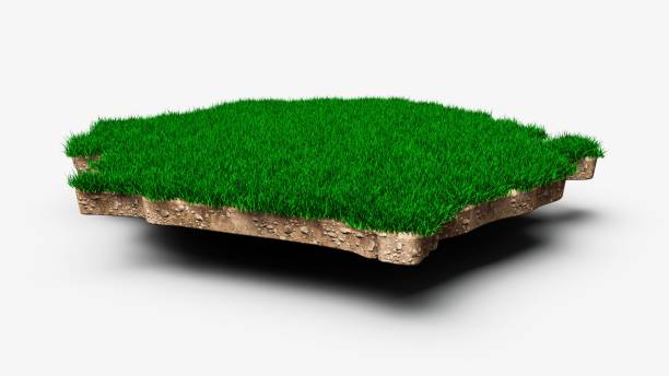 istock 3d rendering of a Poland Map with green grass isolated on a white background 1455210317