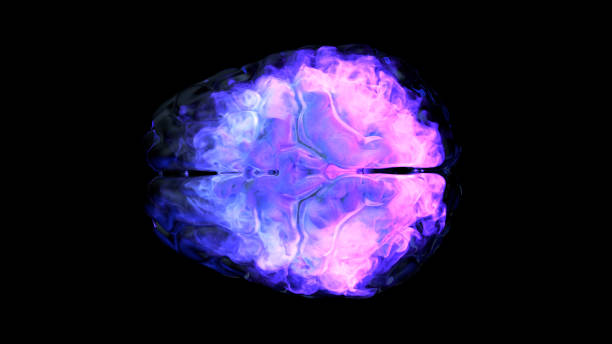 ludzki mózg z abstrakcyjną wizualizacją - eeg zdjęcia i obrazy z banku zdjęć
