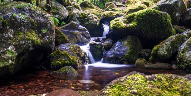 istock Breathtaking landscape with a small waterfall flowing through large rocks covered with moss 1455213525