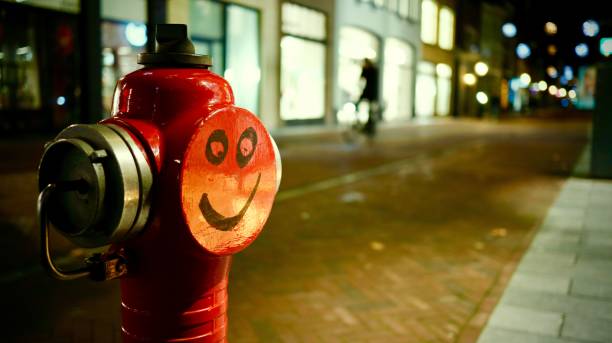 A closeup of a fire hydrant with a happy smile