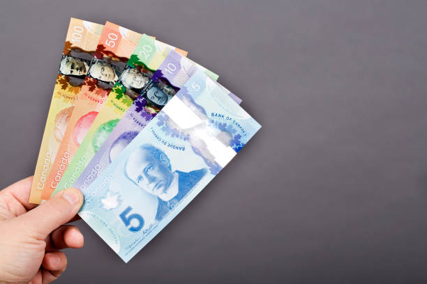 istock Money from Canada in the hand on a gray background 1455214258