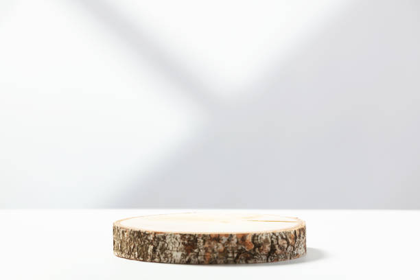 wood slice podium on white background with shadows - construction platform wood nature contemporary imagens e fotografias de stock