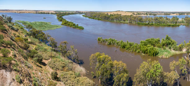 istock Aerial panoramic view, flooded River Murray and floodplains, Caloote, South Australia 1455216310