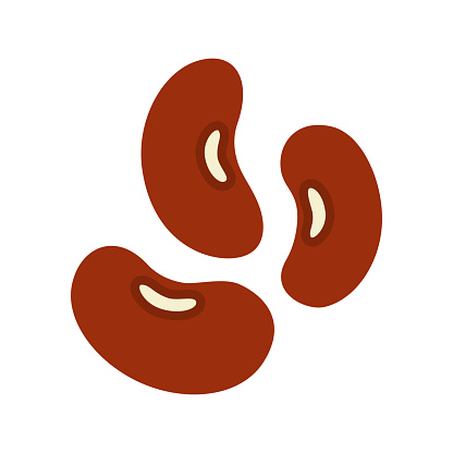 Dark red kidney beans isolated on white background. Vector illustration.