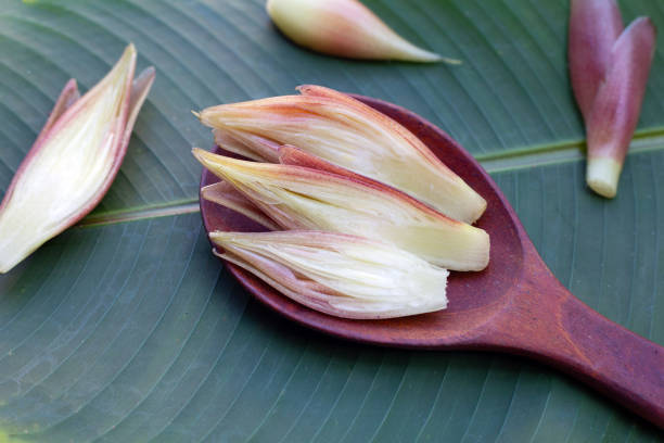 Fresh myoga on green leaf