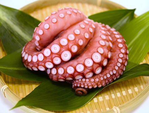 boiled octopus on a plate.