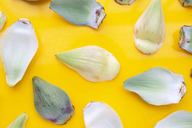 Fresh artichoke petals on yellow background