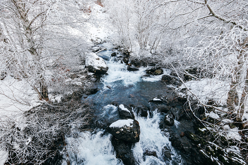 View of the snow forest rivers. Winter forest river landscape. Snowy river scene. In the area of the Saut Deth Pish waterfall during autumn and a snowy day, located in the Aran Valley, Pyrenees, Catalonia, Spain.