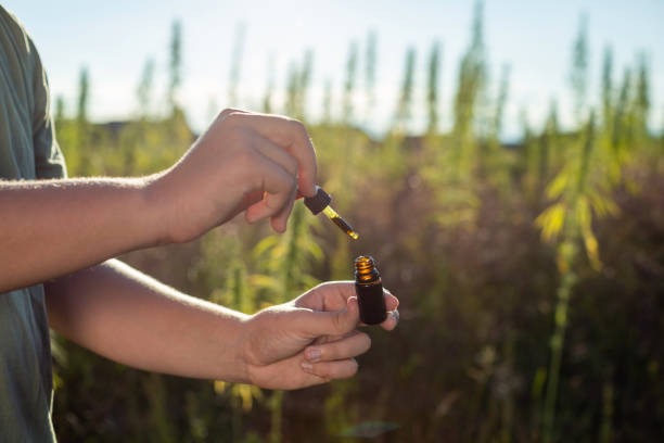 istock Hand holding a cbd dropper bottle between hemp plants 1455227825