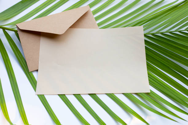 istock Brown paper and envelopes on green leaves 1455227955