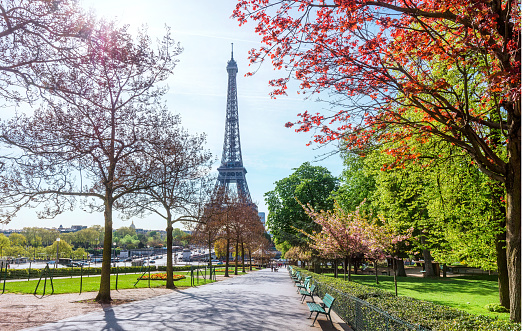 Eiffel Tower with flowering trees during springtime in Paris, France