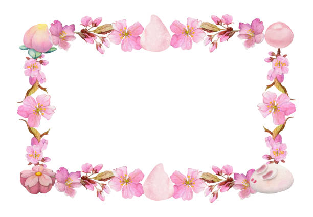 Watercolor hand drawn traditional Japanese sweets. Square frame of spring wagashi with sakura. Isolated on white background. Design for invitations, restaurant menu, greeting cards, print, textile Watercolor hand drawn traditional Japanese sweets. Square frame of spring wagashi with sakura. Isolated on white background. Design for invitations, restaurant menu, greeting cards, print, textile. food sample cups stock illustrations