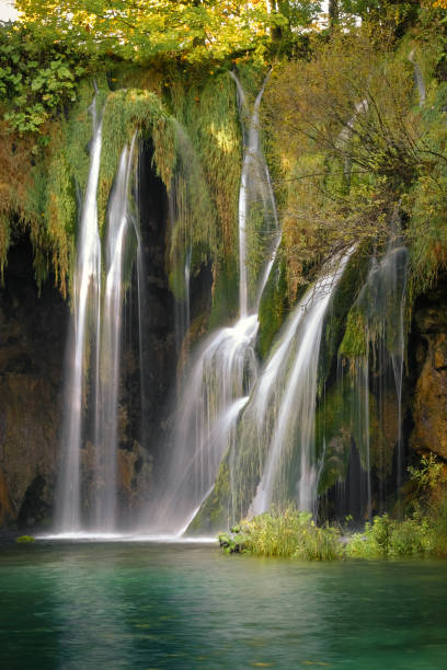 istock Plitvice forest lakes and waterfalls in spring 1455231211