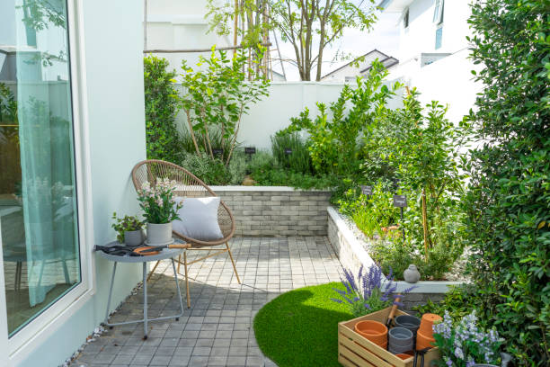 istock Home vegetables growing in a raised bed in a small garden. 1455231431