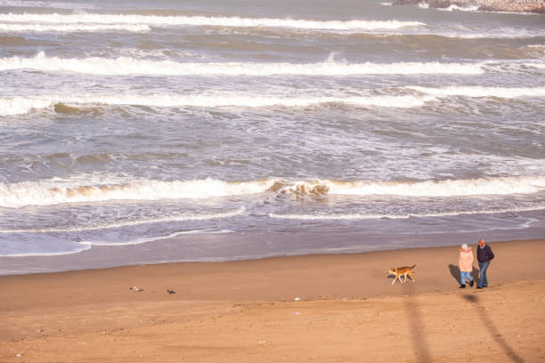 モロッコのモハメディアで犬と一緒にビーチを歩く引退したカップル。ビーチでの散歩は肉体的および精神的な幸福をもたらします。 - senior adult retirement mature adult couple ストックフォトと画像