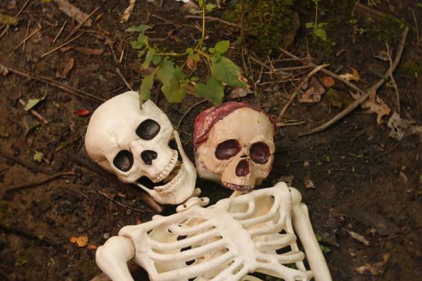 istock Two skeletons on the ground in the forest 1455232501